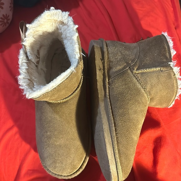 Paws Boot - Picture 1 of 1